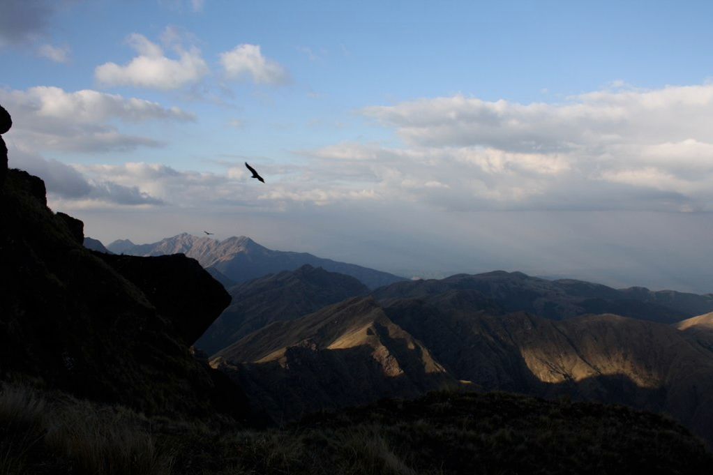 Condors over Mt. Creston Condor Valley