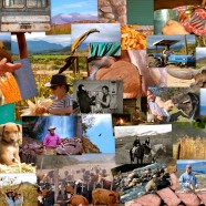 Condor Valley: A Small, Independent World