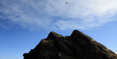 Explore Condor Valley